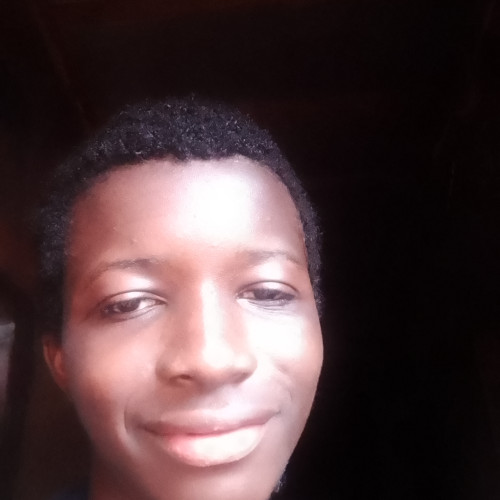Chikamso O. profile photo