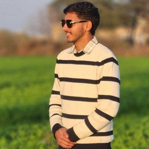 Naveen c. profile photo