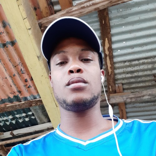Dushan L.