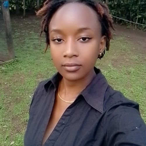 Delian  O. profile photo