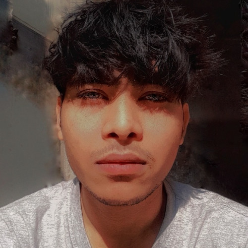 Wolf N. profile photo