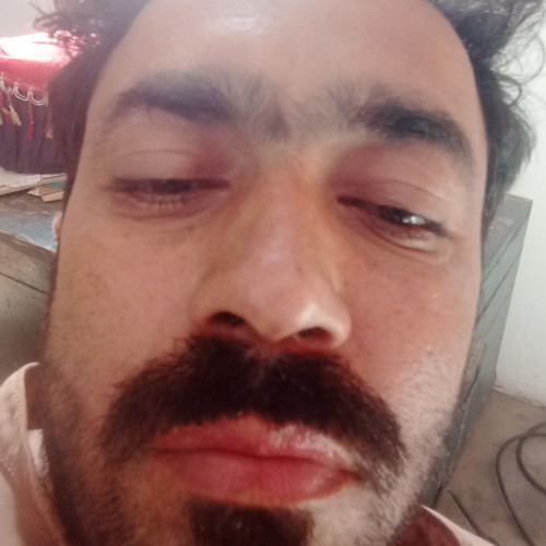 qaisar b. profile photo