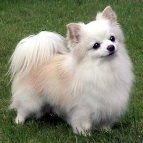 Anne S. profile photo