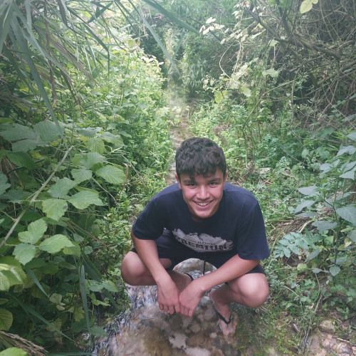 maor n. profile photo