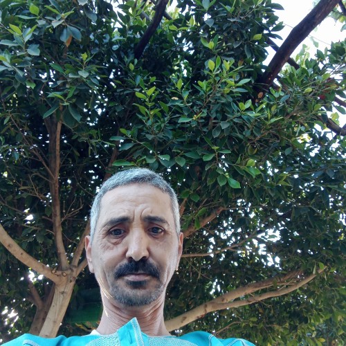 RAHOU  H. profile photo