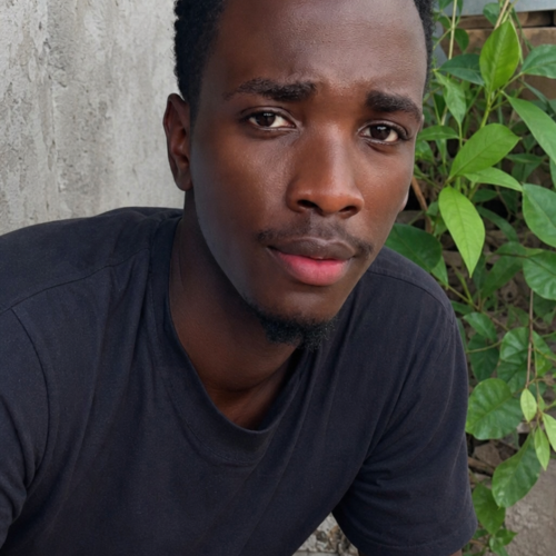 Era N. profile photo