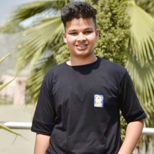 Piyush Narayan  T. profile photo