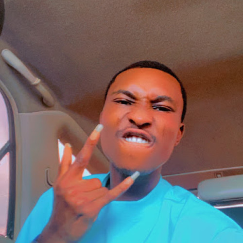 OLUWATOSIN O. profile photo