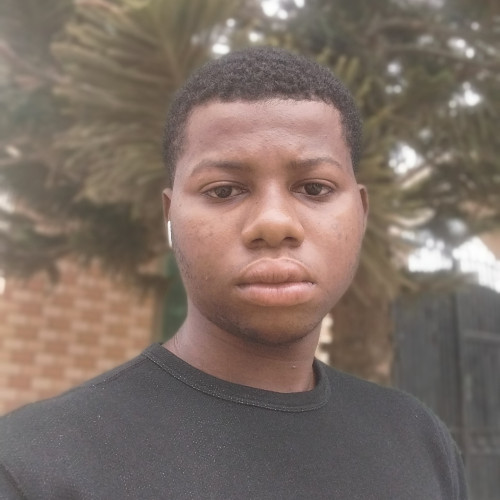 Elvin  S. profile photo