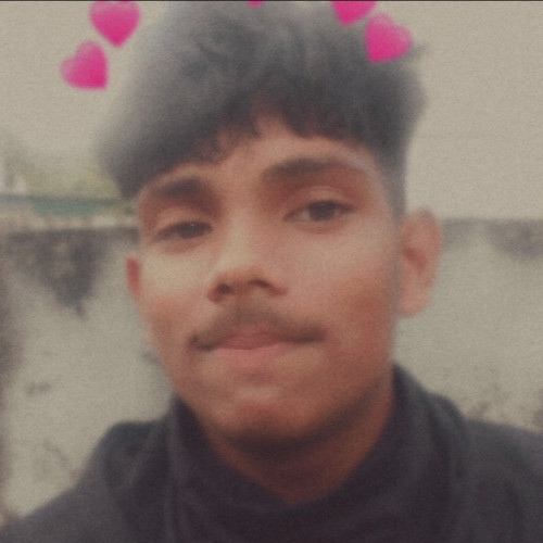 Darshin P. profile photo