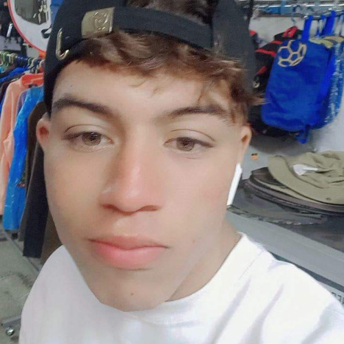 Mario  L. profile photo