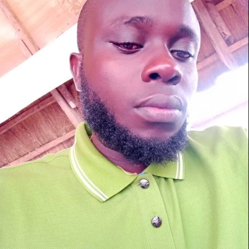 Kachi A. profile photo