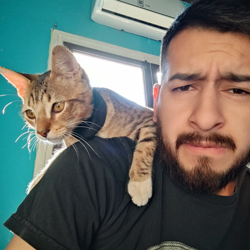 Gustavo  G. profile photo