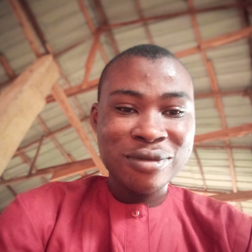 Adepegba D. profile photo