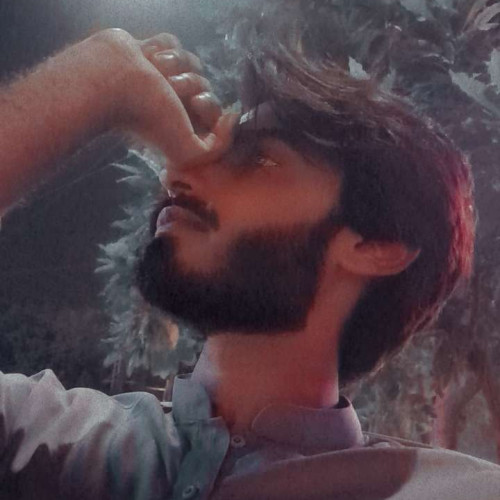 Shery K. profile photo