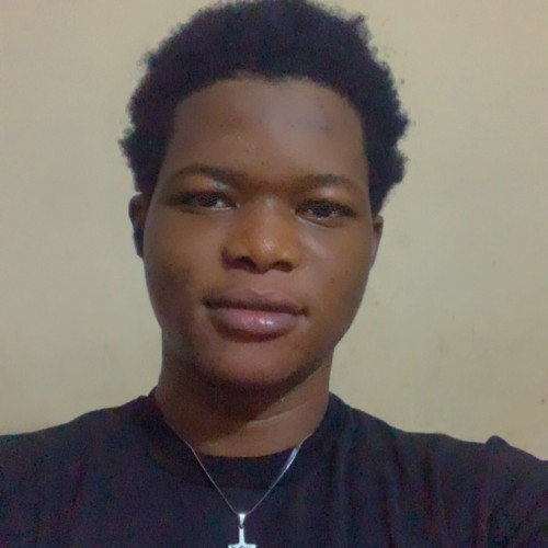 Ajayi  T. profile photo