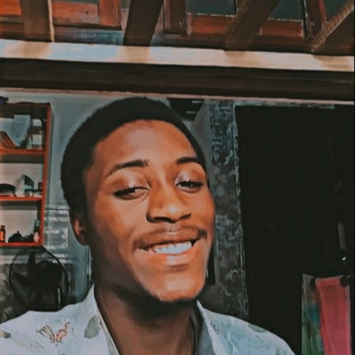 Chidiebere D. profile photo