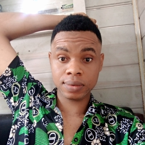 Kingsley  N. profile photo