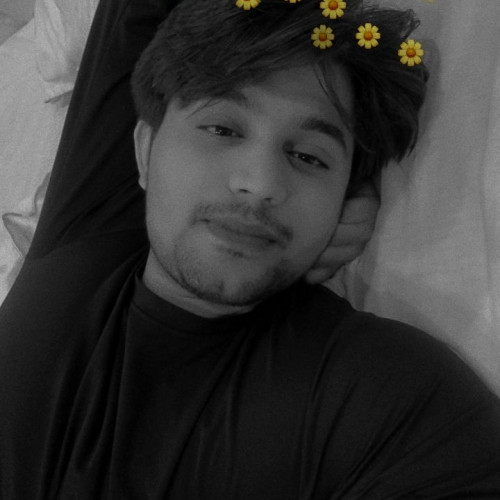 Rajveer  S. profile photo