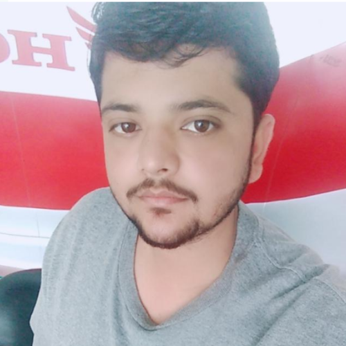 HASSAN N.