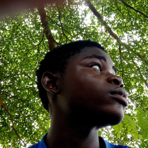 Paul P. profile photo