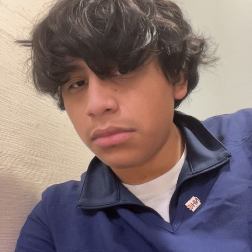 ash m. profile photo