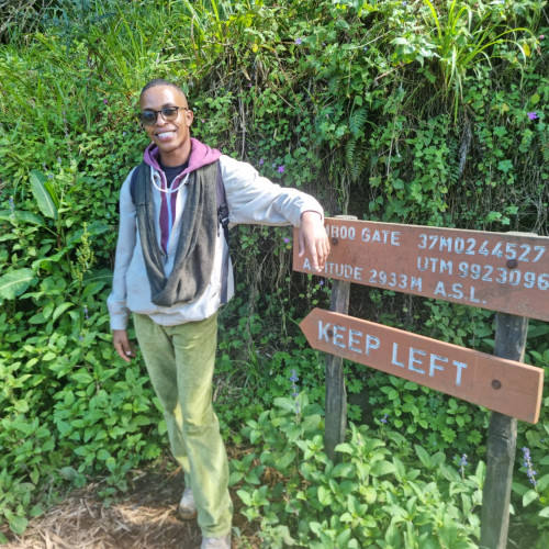 DENNIS  N. profile photo