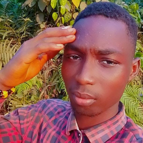 Osundipe  S. profile photo