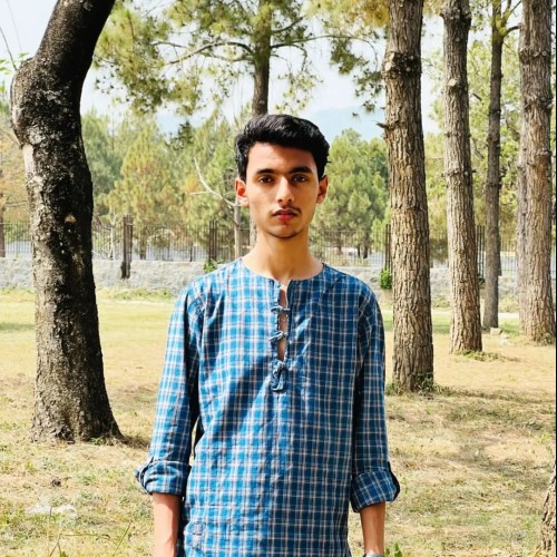 Rafay  R.