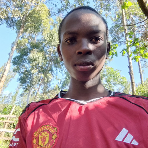 Denis M. profile photo