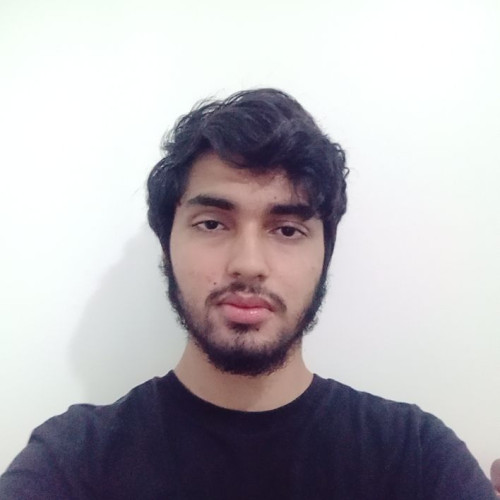 Ali N. profile photo