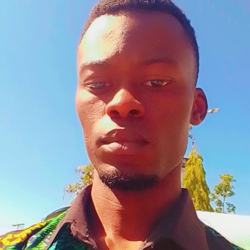 David  K. profile photo