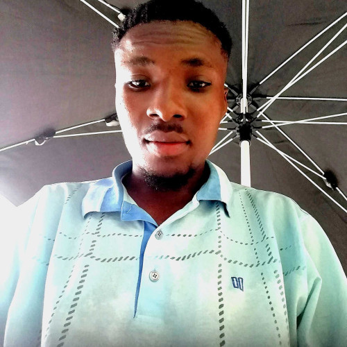 Okoronkwo L. profile photo