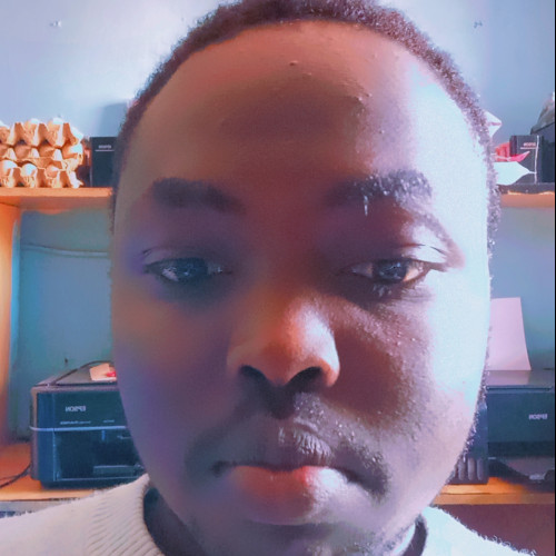 Alfred K. profile photo