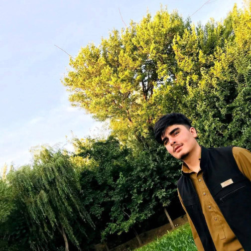 Mujeeb  N. profile photo