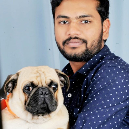 Harsha  K. profile photo