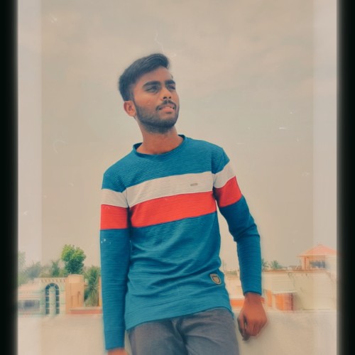 Pavan K.