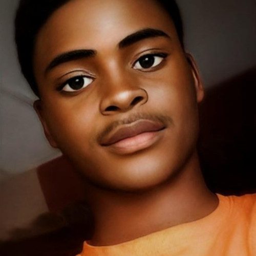 Olakunle O. profile photo