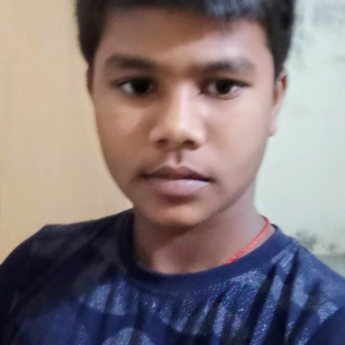 Himanshu S. profile photo