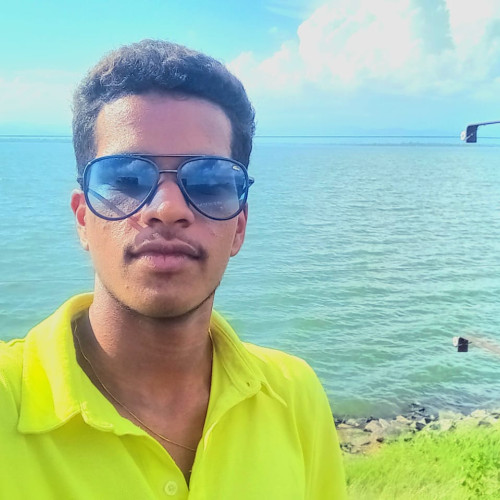 Nisul P. profile photo