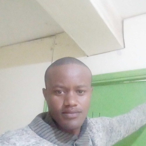 Daniel K. profile photo