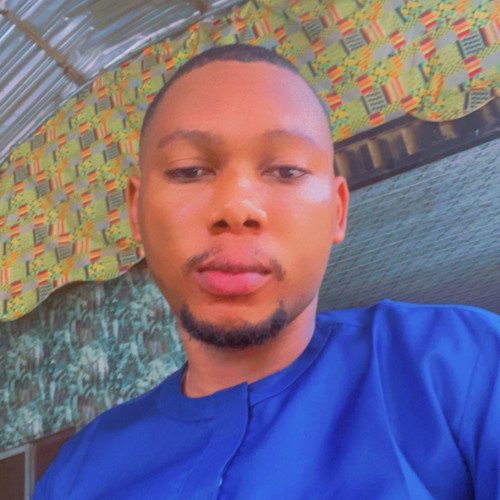 Damilola O.