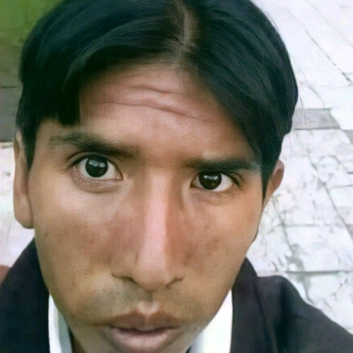 Luz A. profile photo