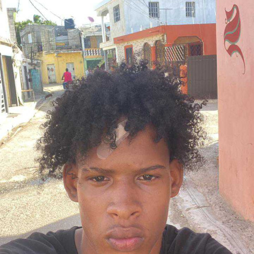 stheven Javier p. profile photo