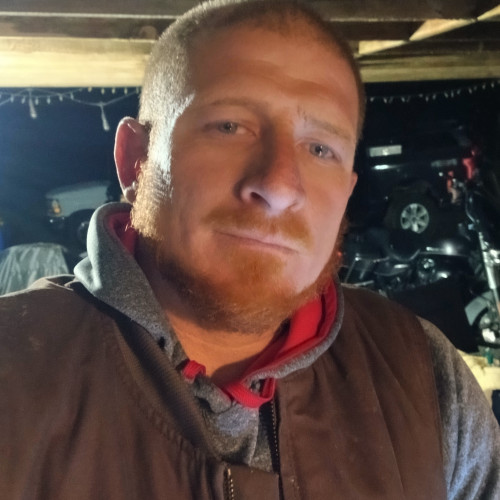 David P. profile photo