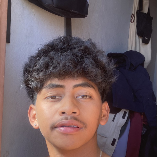 Miotisoa L.