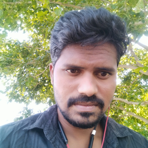 surya v. profile photo