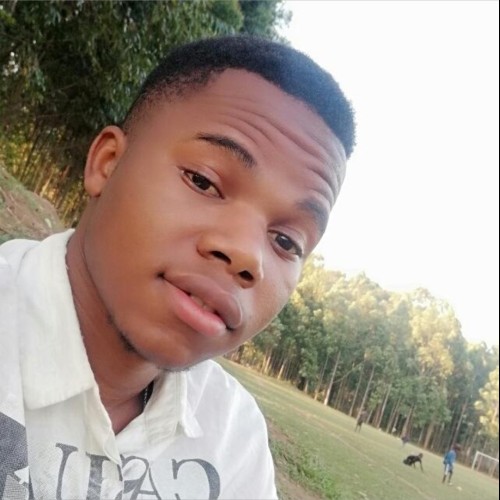 vincent simon m. profile photo