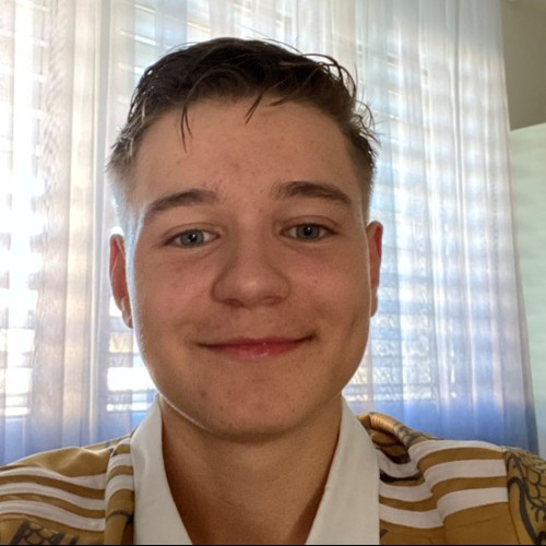 altin s. profile photo