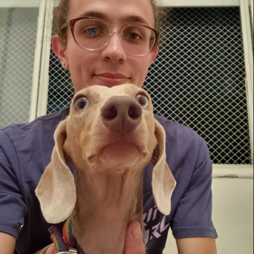 enzo k. profile photo